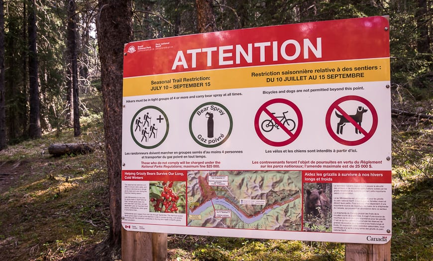 Banff Hikes: The Aylmer Lookout Trail