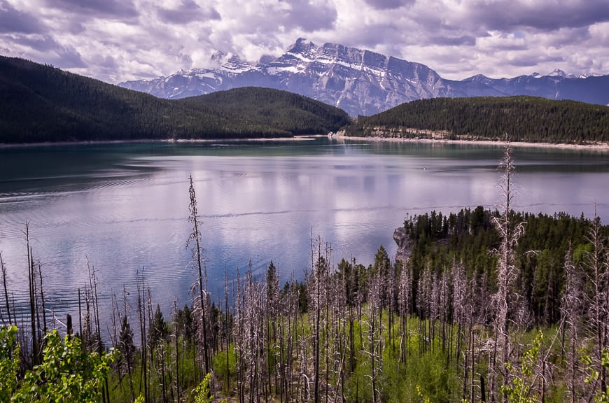 Banff Hikes: The Aylmer Lookout Trail