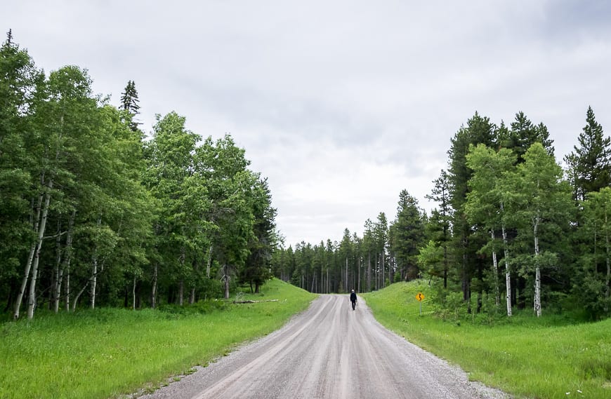 A Visit to Southern Alberta's Castle Provincial Park