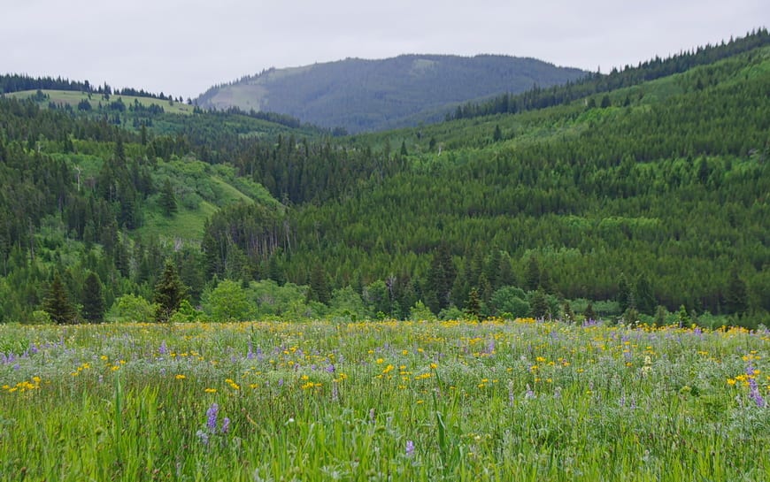 A Visit to Southern Alberta's Castle Provincial Park