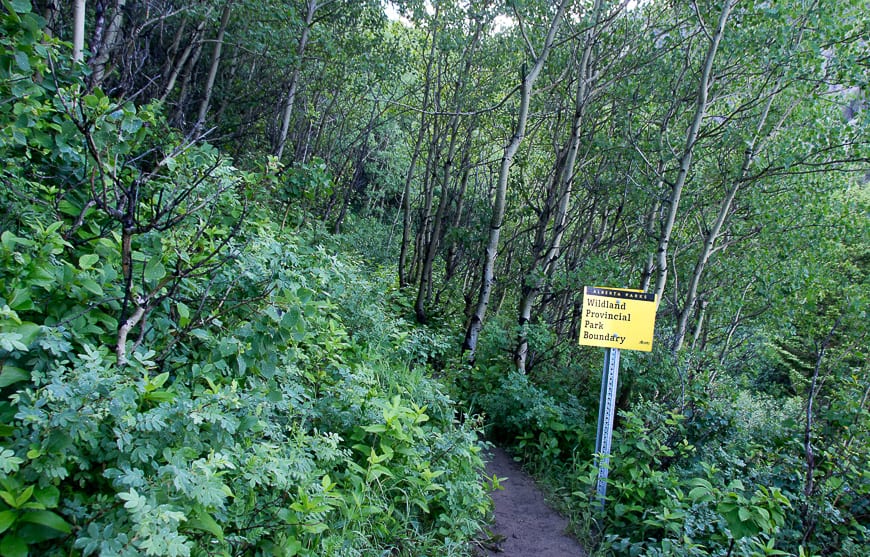 Alberta's Fabulous Table Mountain Hike
