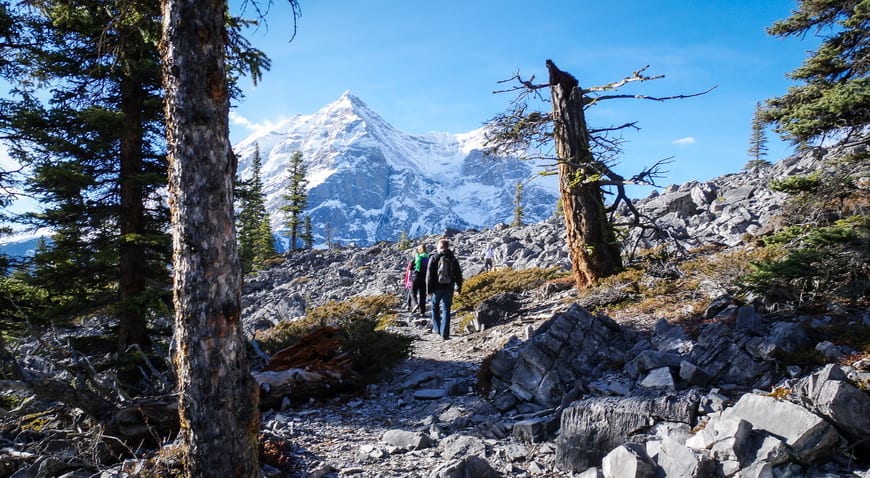 5 Easy Rocky Mountain Hikes Within 2 Hours of Calgary