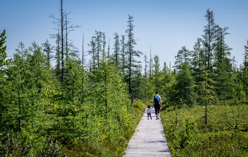 Mer Bleue: A Notable Nature Hotspot Within a Stone's Throw of Ottawa