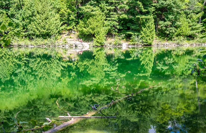 The Secret of Pink Lake in Gatineau Park, Quebec