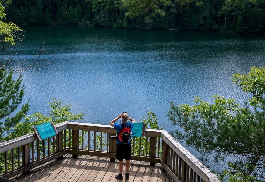 The Secret of Pink Lake in Gatineau Park, Quebec